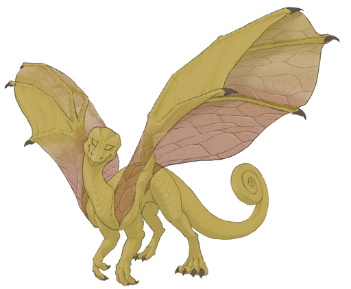 An illustrated dragon